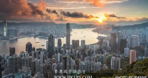 大象传媒免费入口-探索大象传媒的免费资源入口，解锁知识与娱乐的新世界